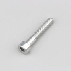 Vis 5x30 mm tête BTR Evotech grise (à l'unité)