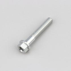 Vis 5x30 mm tête hexagonale embase Evotech grise (à l'unité)