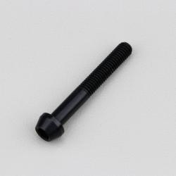 Vis 5x35 mm tête BTR conique Evotech noire (à l'unité)