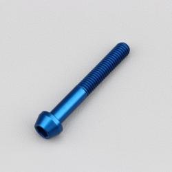 Vis 5x35 mm tête BTR conique Evotech bleue (à l'unité)