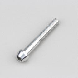 Vis 5x35 mm tête BTR conique Evotech grise (à l'unité)
