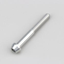 Vis 5x40 mm tête BTR conique Evotech grise (à l'unité)