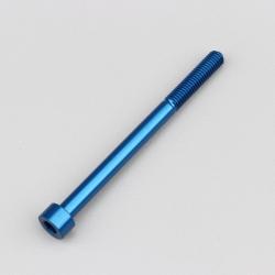 Vis 5x65 mm tête BTR Evotech bleue (à l'unité)