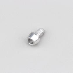 Vis 6x10 mm tête conique Evotech grise (à l'unité)