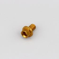 Vis 6x10 mm tête hexagonale embase Evotech dorée (à l'unité)