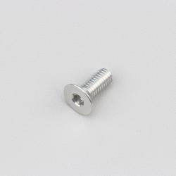 Vis 6x15 mm tête BTR fraisée Evotech grise (à l'unité)