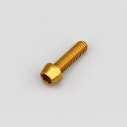 Vis 6x20 mm tête BTR conique Evotech dorée (à l'unité)