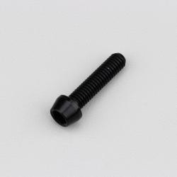 Vis 6x25 mm tête BTR conique Evotech noire (à l'unité)