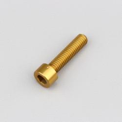 Vis 6x25 mm tête BTR Evotech dorée (à l'unité)