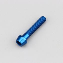 Vis 6x30 mm tête BTR conique Evotech bleue (à l'unité)