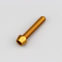 Vis 6x30 mm tête BTR conique Evotech dorée (à l'unité)