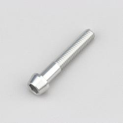 Vis 6x35 mm tête BTR conique Evotech grise (à l'unité)