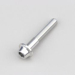 Vis 6x35 mm tête BTR bombée embase Evotech grise (à l'unité)