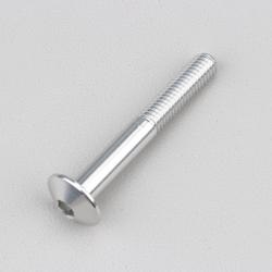 Vis 6x45 mm tête BTR bombée Evotech grise (à l'unité)