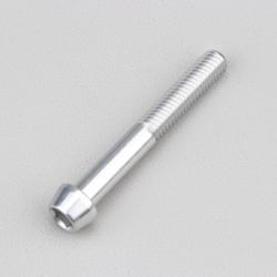 Vis 6x45 mm tête BTR conique Evotech grise (à l'unité)