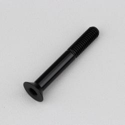 Vis 6x45 mm tête BTR fraisée Evotech noire (à l'unité)