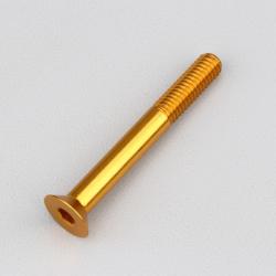 Vis 6x50 mm tête BTR fraisée Evotech dorée (à l'unité)