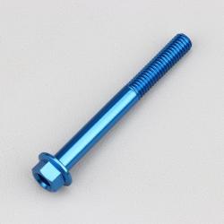 Vis 6x55 mm tête hexagonale embase Evotech bleue (à l'unité)