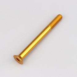 Vis 6x65 mm tête BTR fraisée Evotech dorée (à l'unité)