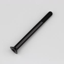 Vis 6x70 mm tête BTR fraisée Evotech noire (à l'unité)