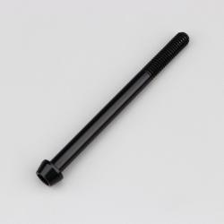 Vis 6x75 mm tête BTR conique Evotech noire (à l'unité)