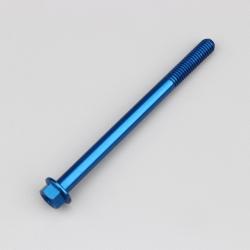 Vis 6x80 mm tête hexagonale embase Evotech bleue (à l'unité)