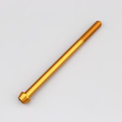 Vis 6x90 mm tête BTR conique Evotech dorée (à l'unité)