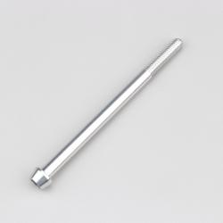 Vis 6x90 mm tête BTR conique Evotech grise (à l'unité)