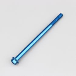Vis 6x95 mm tête hexagonale embase Evotech bleue (à l'unité)