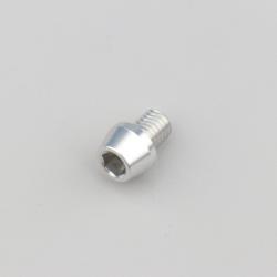 Vis 8x10 mm tête BTR conique Evotech grise (à l'unité)