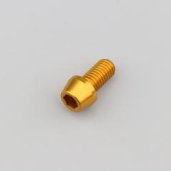 Vis 8x15 mm tête BTR conique Evotech dorée (à l'unité)