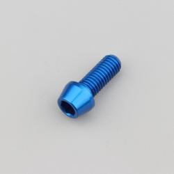 Vis 8x20 mm tête BTR conique Evotech bleue (à l'unité)