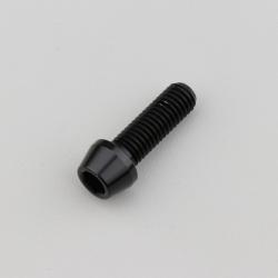 Vis 8x25 mm tête BTR conique Evotech noire (à l'unité)