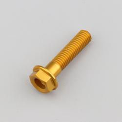 Vis 8x35 mm tête hexagonale embase Evotech dorée (à l'unité)