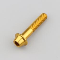 Vis 8x40 mm tête BTR bombée embase Evotech dorée (à l'unité)