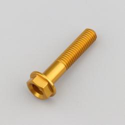 Vis 8x40 mm tête hexagonale embase Evotech dorée (à l'unité)