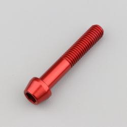 Vis 8x45 mm tête BTR conique Evotech rouge (à l'unité)