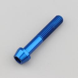 Vis 8x45 mm tête BTR conique Evotech bleue (à l'unité)