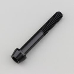 Vis 8x55 mm tête BTR conique Evotech noire (à l'unité)