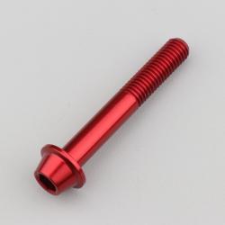 Vis 8x55 mm tête BTR bombée embase Evotech rouge (à l'unité)