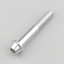Vis 8x55 mm tête BTR bombée embase Evotech grise (à l'unité)