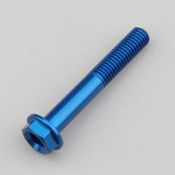 Vis 8x55 mm tête hexagonale embase Evotech bleue (à l'unité)