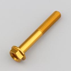Vis 8x55 mm tête hexagonale embase Evotech dorée (à l'unité)