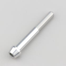 Vis 8x60 mm tête BTR conique Evotech grise (à l'unité)