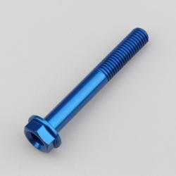Vis 8x60 mm tête hexagonale embase Evotech bleue (à l'unité)