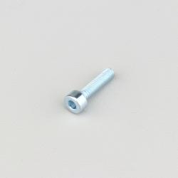 Vis 4x16 mm tête BTR classe 8.8 (à l'unité)