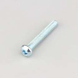 Vis 6x40 mm tête BTR bombée classe 10.9 (à l'unité)