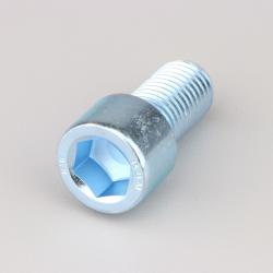 Vis 16x30 mm tête BTR classe 8.8 (à l'unité)