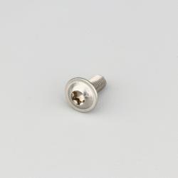 Vis 6x14 mm tête torx embase origine Rieju (à l'unité)