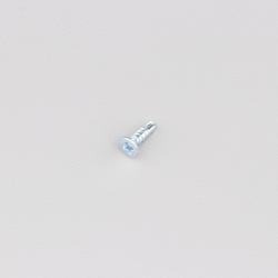 Vis autoperçeuse 2.9x9.5 mm tête cruciforme fraisée (à l'unité)